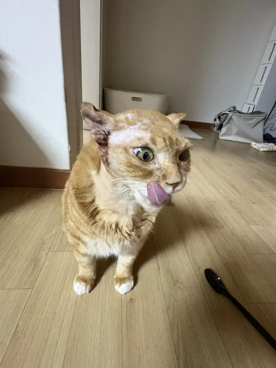 가방